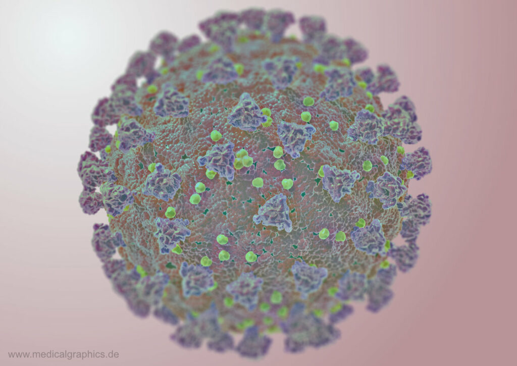 Coronavirus - SARS-CoV-2 in Falschfarben von MedicalGraphics.de - Lizenz: CC BY-ND 4.0 DE